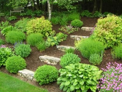 Landscaping A Slope Backyard Hill Shade Sloped Backyard Hill Landscaping, Garden Design Ideas For Slopes