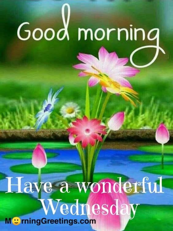 50 Good Morning Happy Wednesday Images - Morning Greetings – Morning Quotes And Wishes Images