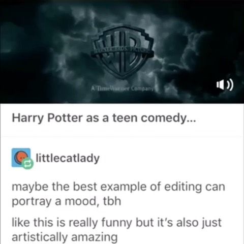 If Harry Potter Was A Comedy Instagram Video By Multi Fandom Aug 19 2019 At 5 32 Pm Harry Potter Funny Potter Harry Potter