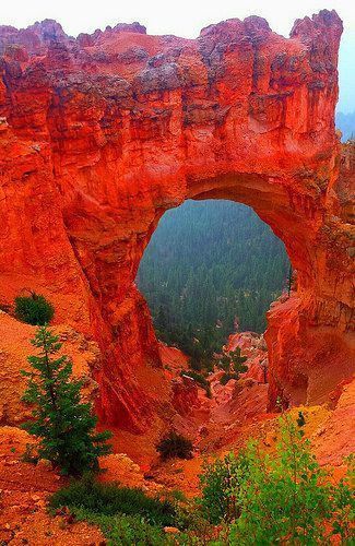 Bryce Canyon, Utah | Go everywhere in the world with WaterField Designs www.sfbags.com/