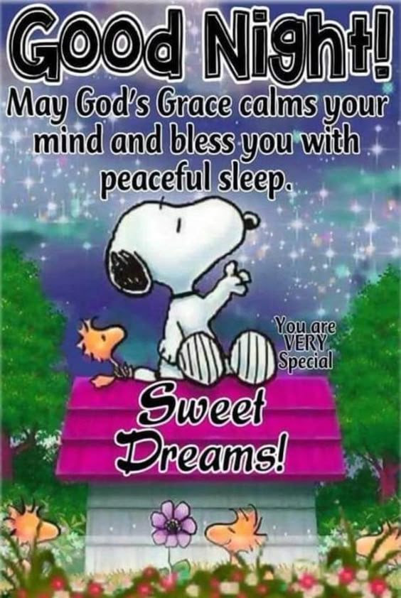 50 Best Good Night Quotes And Sayings