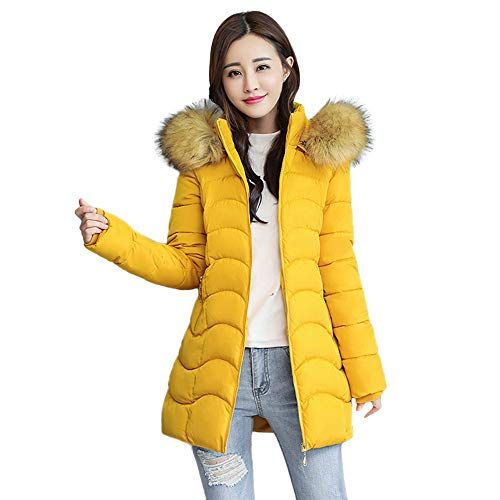 Women Winter Warm Hooded Jackets Thick Faux Fur Warm Slim Jacket Long Overcoat Coat Outerwear