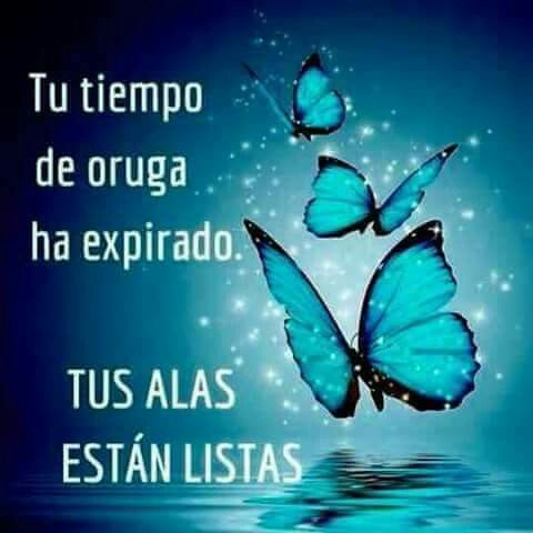 Tu tiempo de oruga ha expirado. Tus alas están listas. Frases de inspiración para mujeres exitosas.