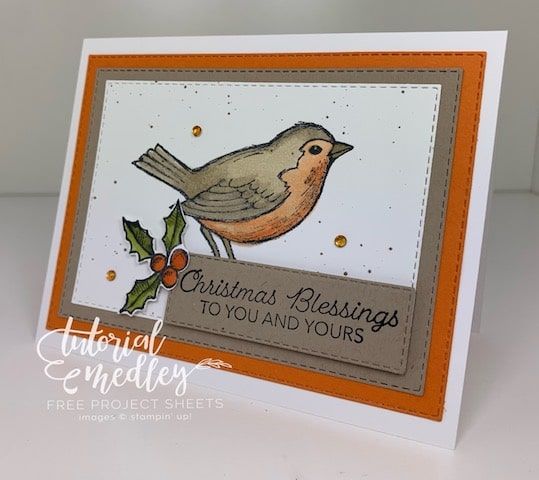 Have you seen the Happy Holly-Days bundle from the Mini Catalog 2021? You may have overlooked this gem! Don\'t let the sentiments in this stamp set fool you into thinking it is just for Christmas; change up the sentiment and bird colors and you can create a beautiful card for all different occasions. #thestampcamp #stampinup #happyhollydays