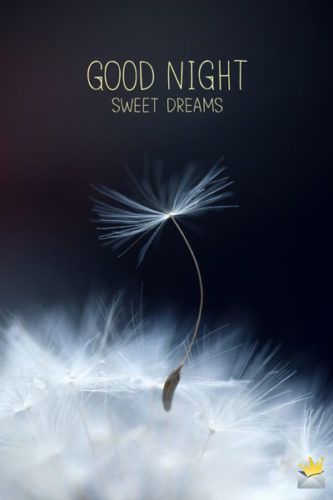 The Best Good Night Images | A Sweet Kiss Goodnight