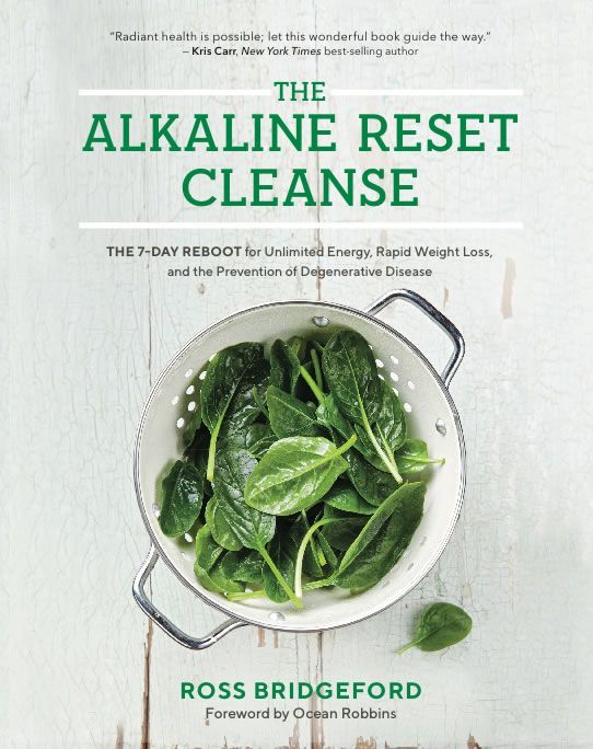 Alkalische Diät Rezepte Buch