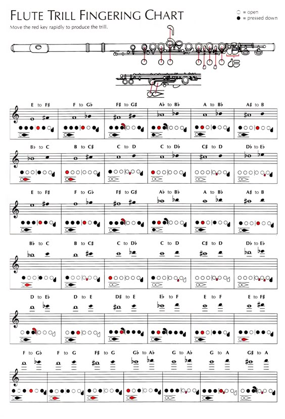 189 best Other southern gospel images on Pinterest Southern - flute fingering chart 189 best Other southern gospel images on Pinterest Southern - flute fingering chart