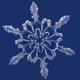 イベント\u3000雪の結晶展|高級リゾートホテル裏磐梯高原ホテル