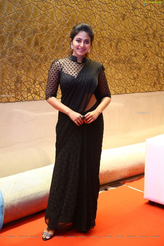 Actress Anjali Beautiful Stills in Black Saree, HD Photo Gallery