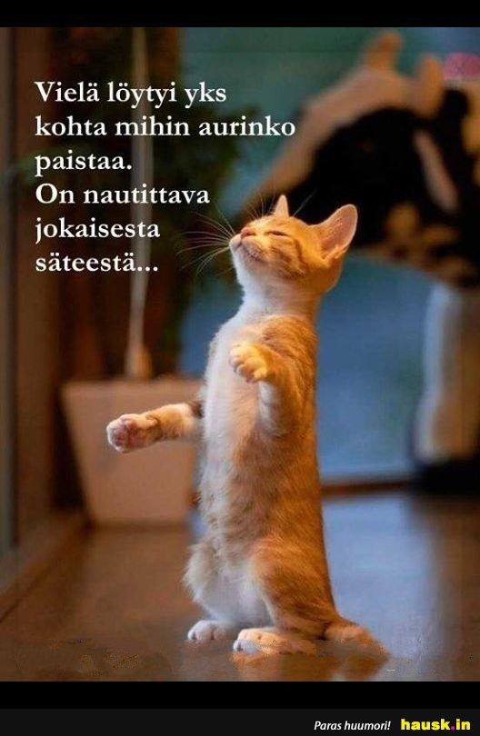 Hauska dating site kuvat