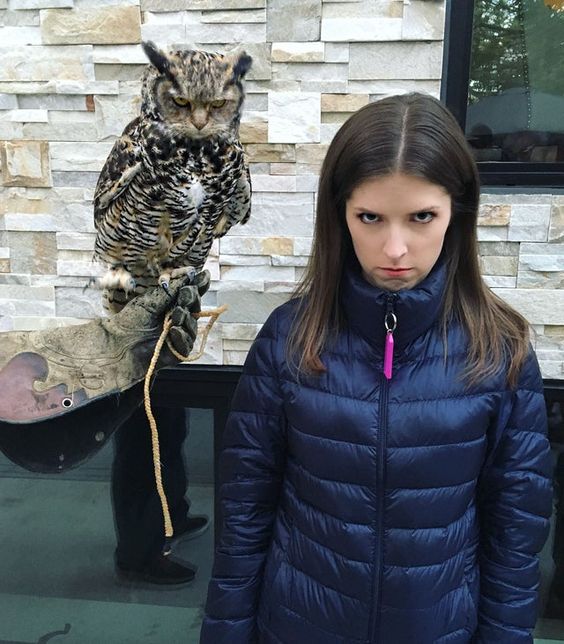anna kendrick