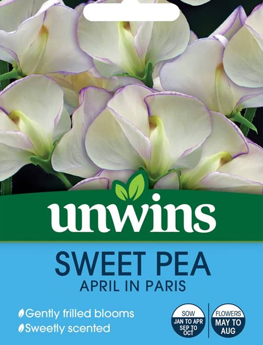 April In Paris Sweet Pea Seeds Sweet Pea Seeds Sweet Pea Garden Planning April In Paris Sweet Pea Seeds Sweet Pea Seeds Sweet Pea Garden Planning