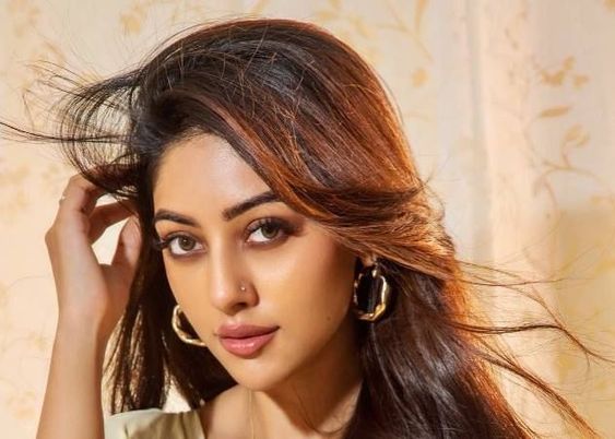 Anu Emmanuel एक American Actress और Model हैं, इनका जन्म 28 March 1996 को Chicago, Illinois, United States में हुआ था। Anu को मुख्य रूप से Telugu Film “Naa Peru Surya” में ‘Varsha’ की भूमिका में अभिनय करने के लिए जाना जाता है। आज हम Anu Emmanuel Biography में अभिनेत्री की Early Life, Family, Boyfriend, ... Read more