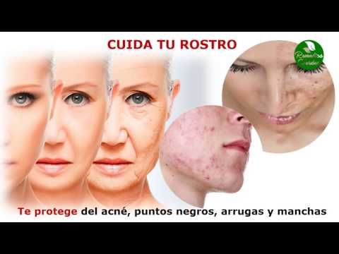 te verde para la piel propiedades te verde para la piel propiedades