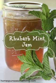 Rhubarb Mint Jam