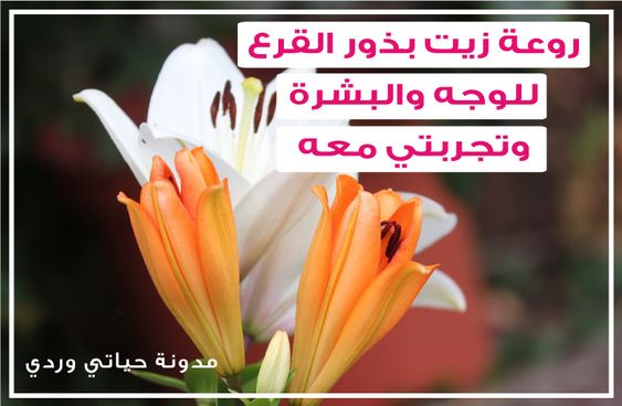 اعتني ببشرتك مع فوائد زيت بذور اليقطين الرائعة Pumpkin Seed Oil Benefits Pumpkin Oil Pumpkin Seed Oil