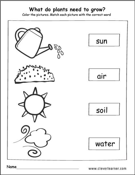 Science Tools Freebie Science Tools Kindergarten Science Kindergarten Worksheets