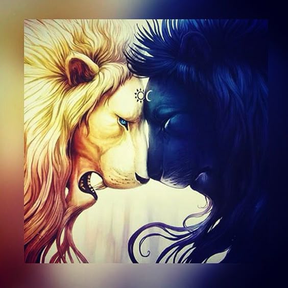 Leo Zodiac light &dark art More