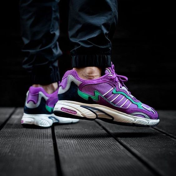 adidas temper run shock purple