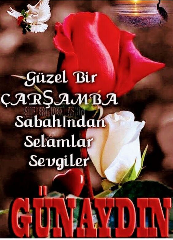 Resim