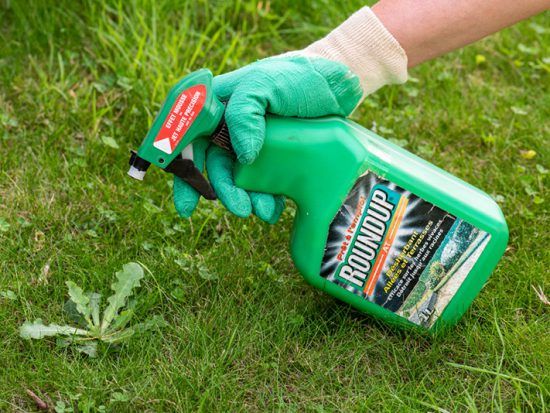 Pin On Gardening Tips