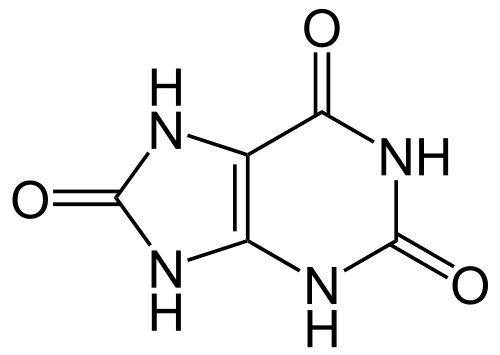 bannockburn rogaine 2018 rogaine 2 femme