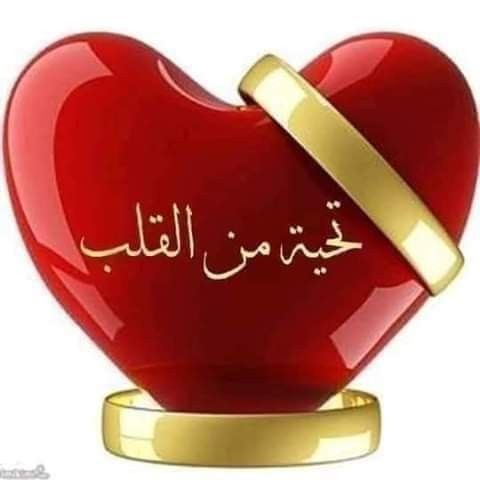 Pin By نهر الجمال On تعليقات وردود فيس بوك Ashtray