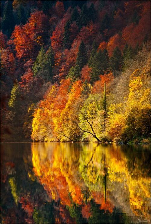 Digimikko - setyourpridetotheside: Untitled on We Heart It -...