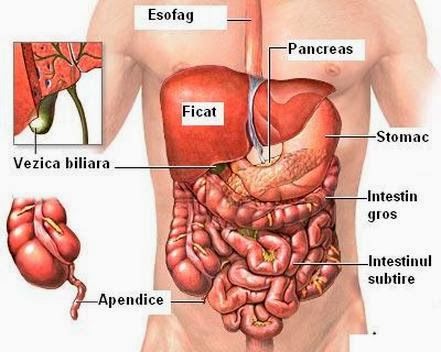 papiloma virus en el hombre what is detox water for weight loss