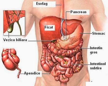 de ce ma doare vezica biliara