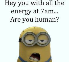 33 Minion Quotes for Nearly Everyone -