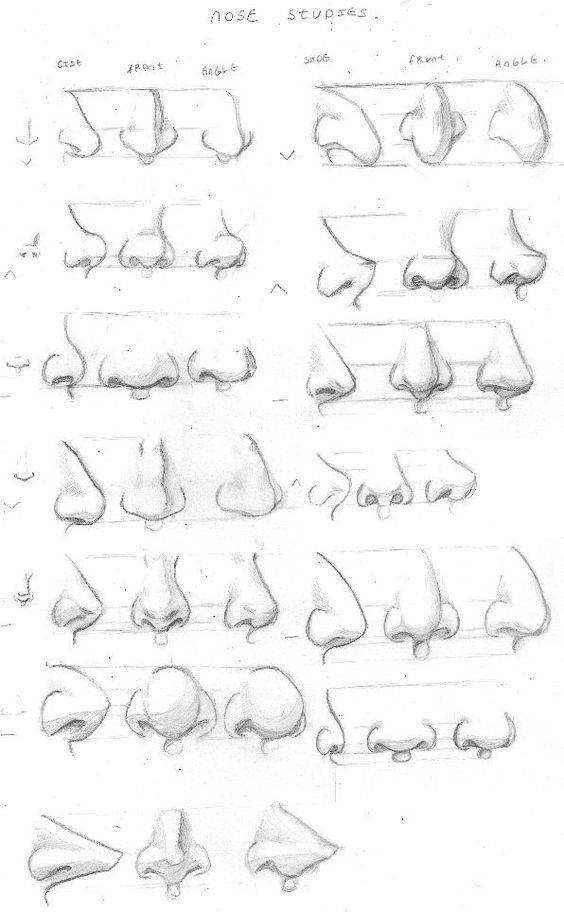 Nose Drawing Tutorial Angles Como Dibujar Nariz Dibujo Nariz Dibujar Narices