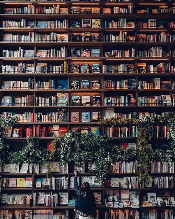 Pin By Mamou On Mamou Book Aesthetic Books Library