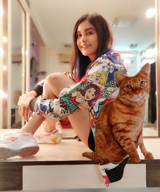 Adah Sharma is a South Indian Actress and girl with cat