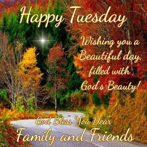 Happy Tuesday