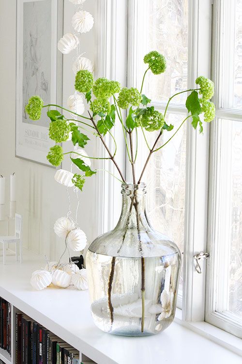 Spring inspiration and decorating ideas! Vivid green cuttings in a European styled wine jug clear glass vase in a window sill. Enchanting and Spring magic!