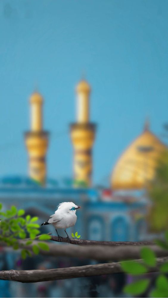 والپیپر محرم