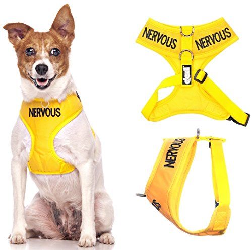 Nervous Give Me Space Yellow Colour Coded Non Pull Front And