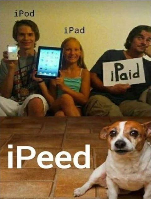 https://www.facebook.com/461057557604005/photos/a.461061024270325.1073741828.461057557604005/490698577973236/?type=3&theater #bluechipentertainment #funny #funnypics #funnyvideos #Entertainment #entertainmentweekly #Entertainment_Weekly