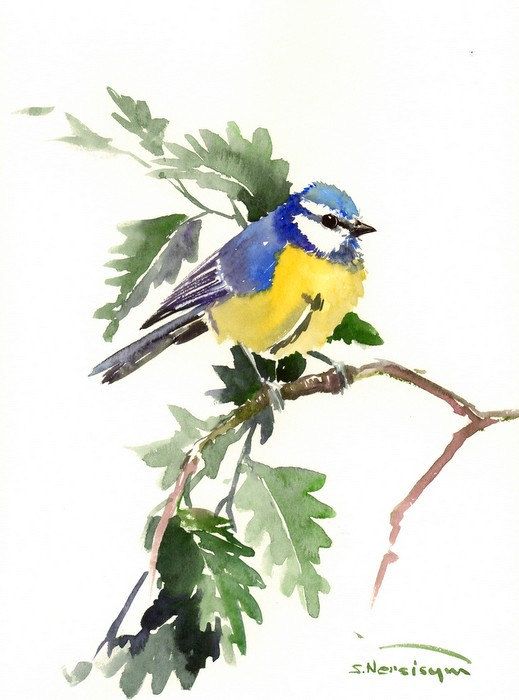 Details about LITTLE BIRD WATERCOLOUR FINE ART PRINT LONG TAILED TIT PAINTING WALL ART Details about LITTLE BIRD WATERCOLOUR FINE ART PRINT LONG TAILED TIT PAINTING WALL ART