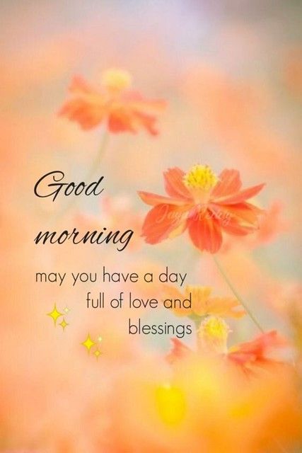 May you have a day