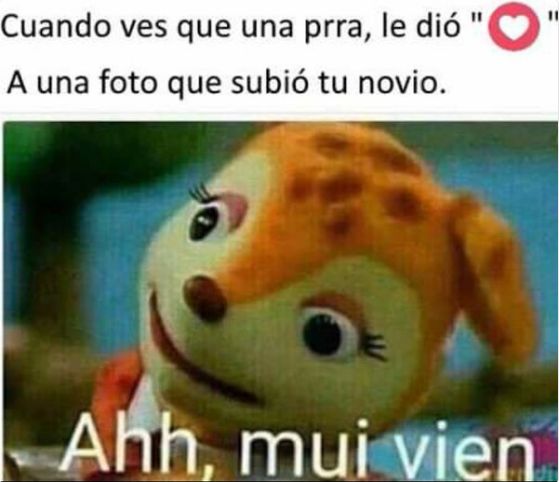 memes sobre los celos memes sobre los celos