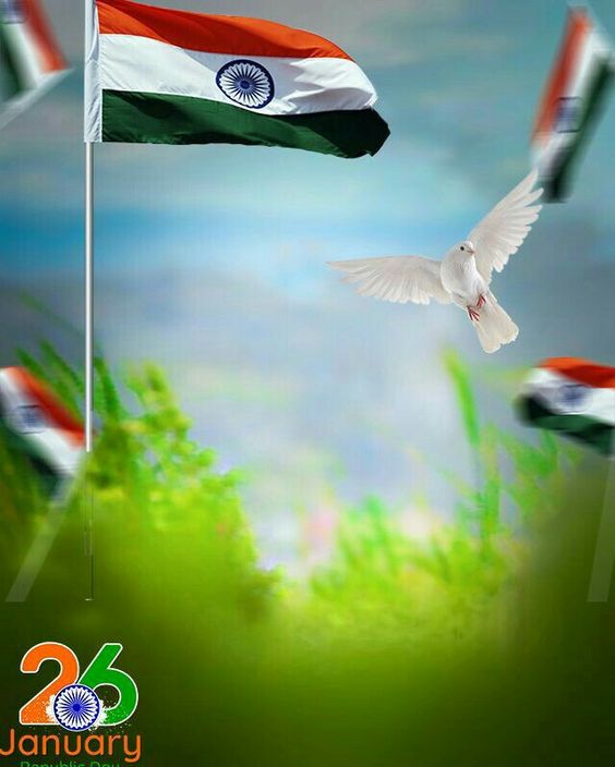 26 January Editing Background 2020