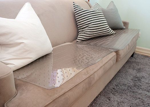 Best 25 Keep Dog Off Couch Ideas On Pinterest Pet Steps For Bed