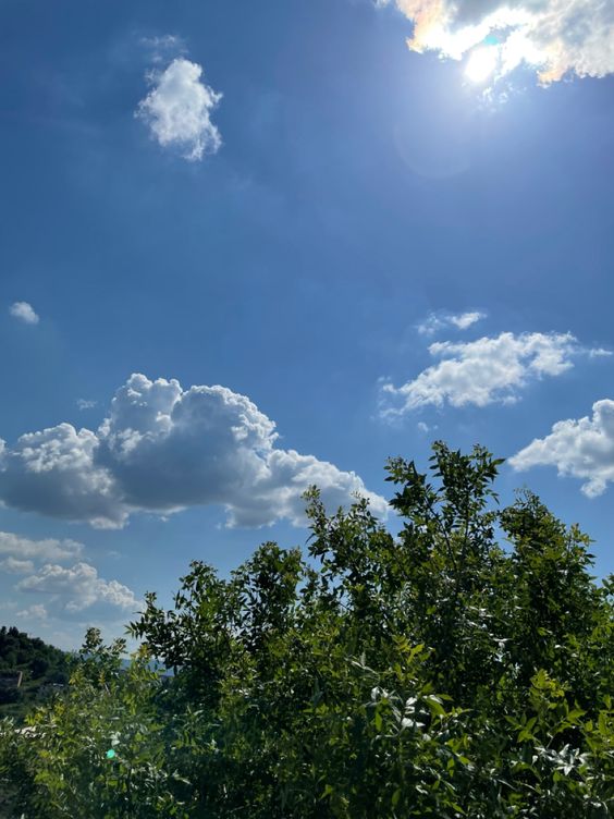 Sunny day