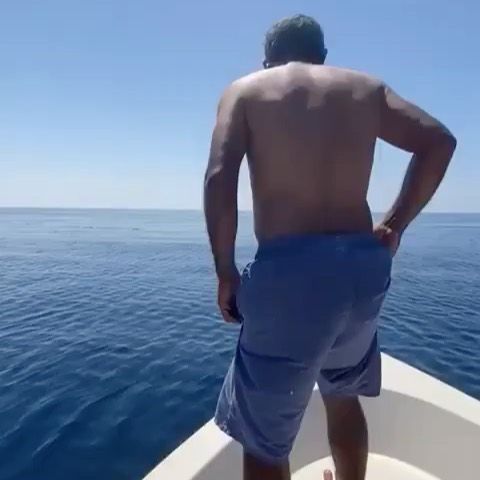 تمكنت مصورة من التقاط صور للحوت الابيض الوحيد في العالم حيث كان آخر ظهور لهذا الحوت في ١٩٩١م Whale White Whale Animals