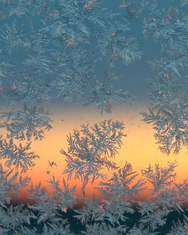 "My car window this morning"