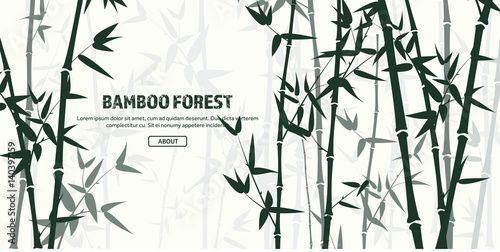 Stock Image: Bamboo forest set. Nature. Japan., China. Plant. Green tree with leaves. Rainforest in Asia.