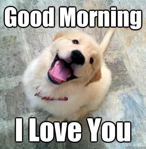 80 Good Morning Memes To Kickstart Your Day - SayingImages.com
