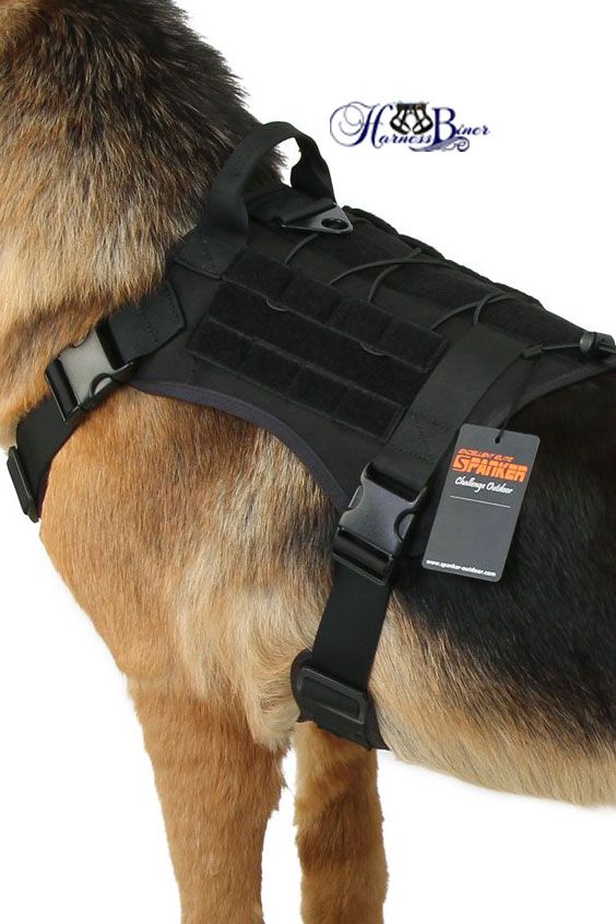 Pin On Pet Supplies Amazon Store